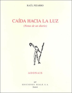 Caída hacia la luz (notas de un diario)