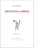 Diluvio en la mirada Diluvio en la mirada