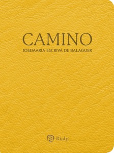 Camino (bolsillo, piel sintética)