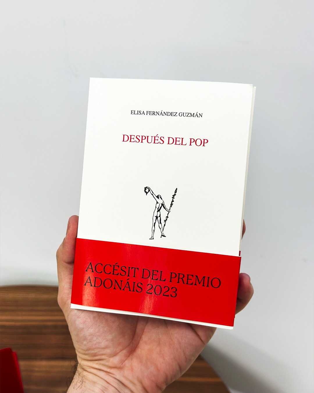 Zenda recomienda: Después del pop, Elisa Fernández Guzmán