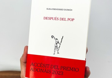 Zenda recomienda: Después del pop, Elisa Fernández Guzmán