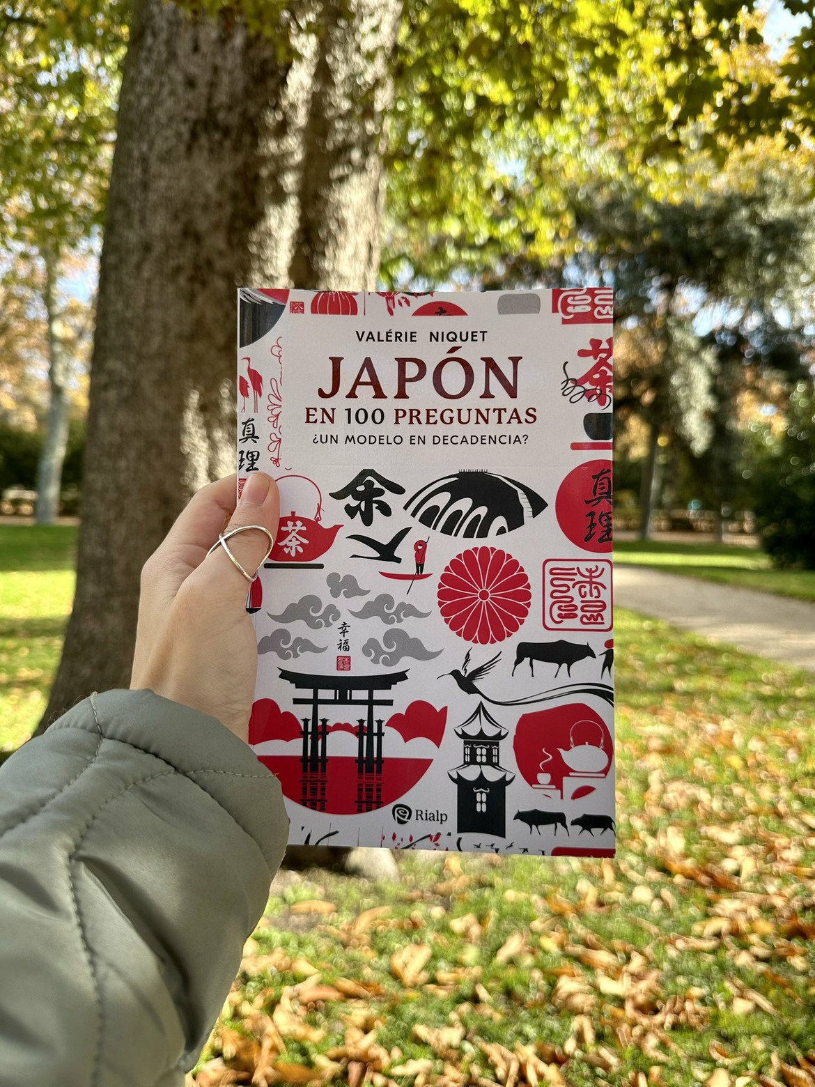 Algo que podríamos aprender de Japón