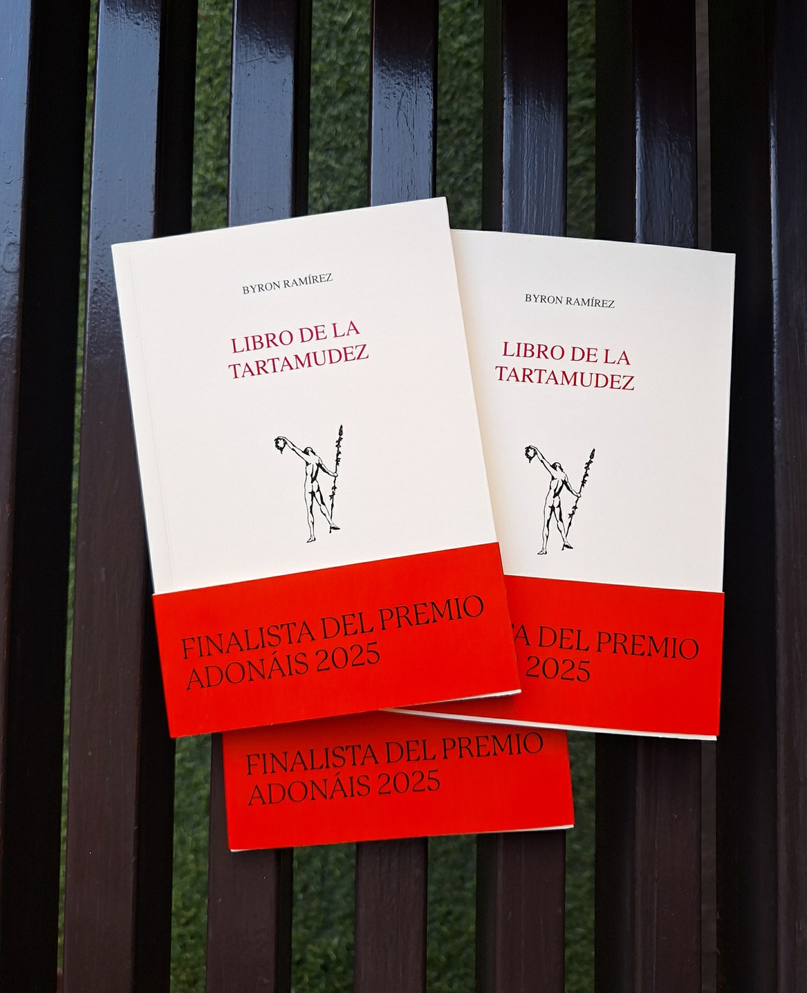 La mudez de las palabras